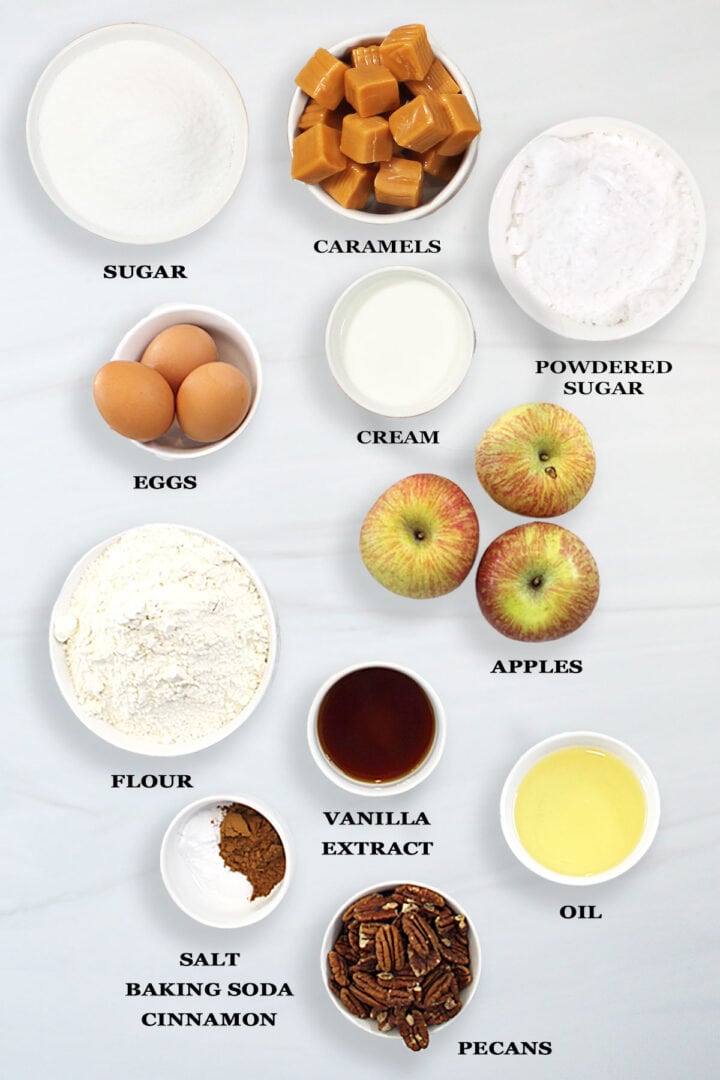 Apple Cake Recipe ingredients.