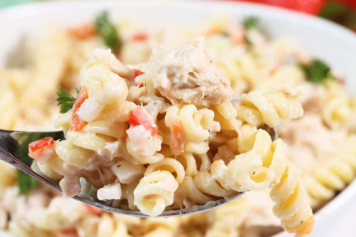 Closeup spoonful of tuna and pasta salad.