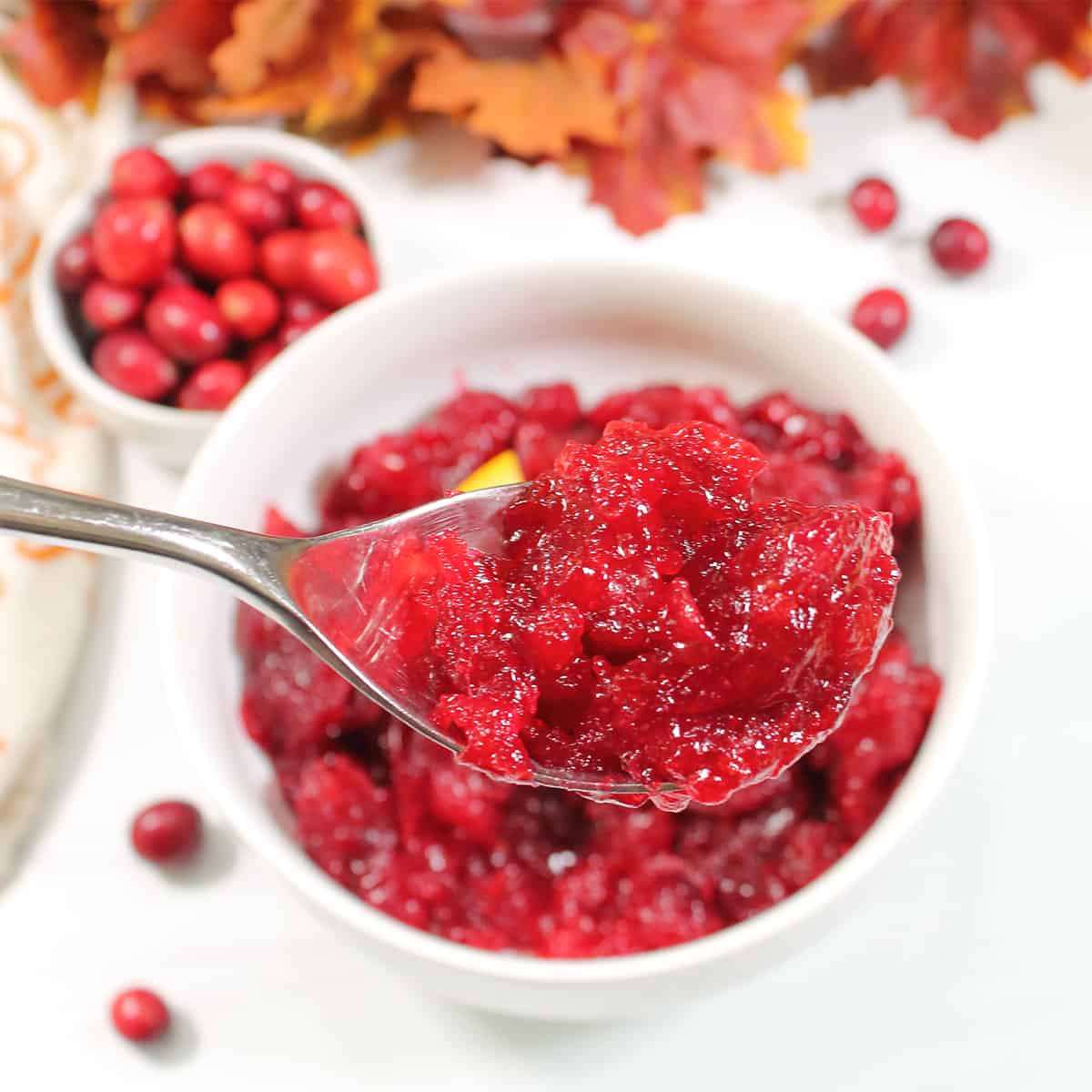Spoonful of cranberry orange sauce over bowl.