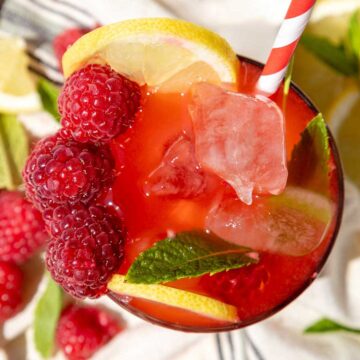 Overhead of raspberry mocktail with all the garnishes.