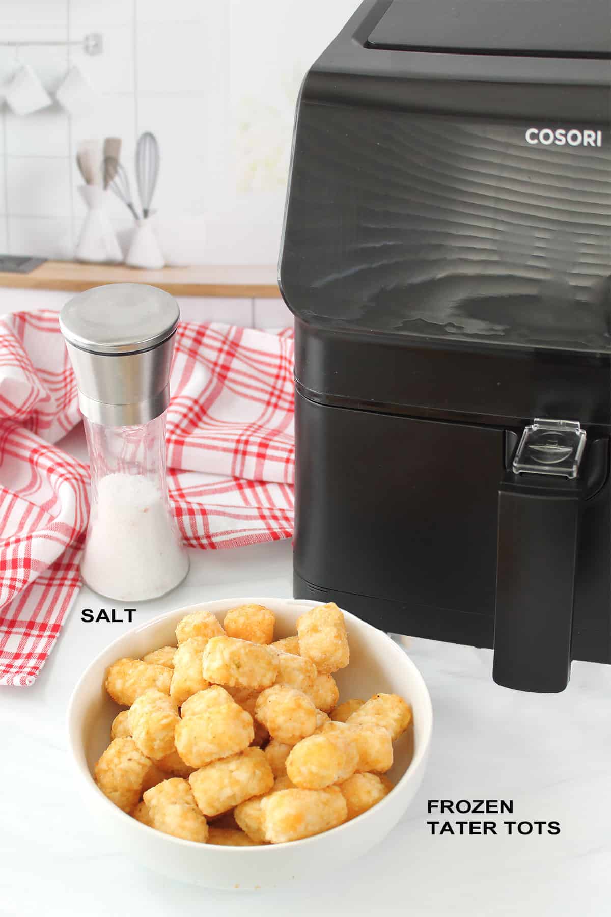 Ingredients for tater tots in air fryer recipe.