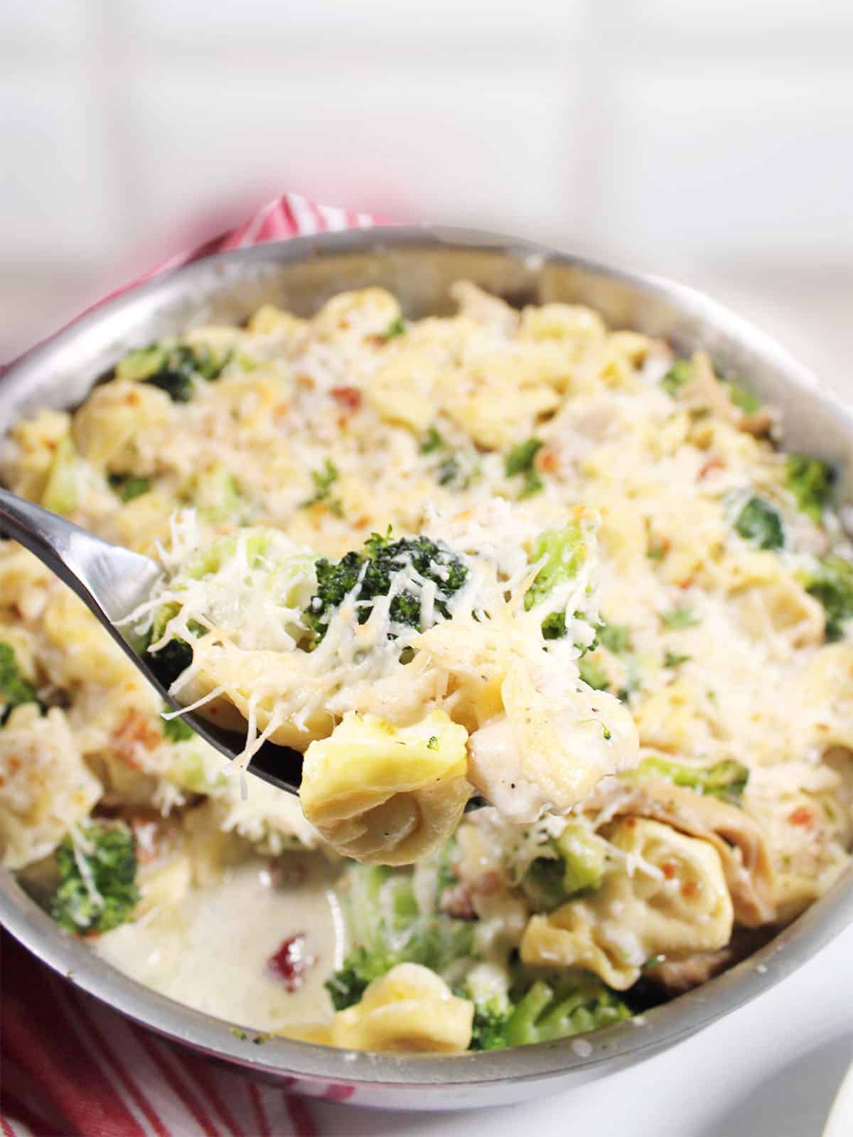 Serving spoonful of Tortellini Alfredo over pan.