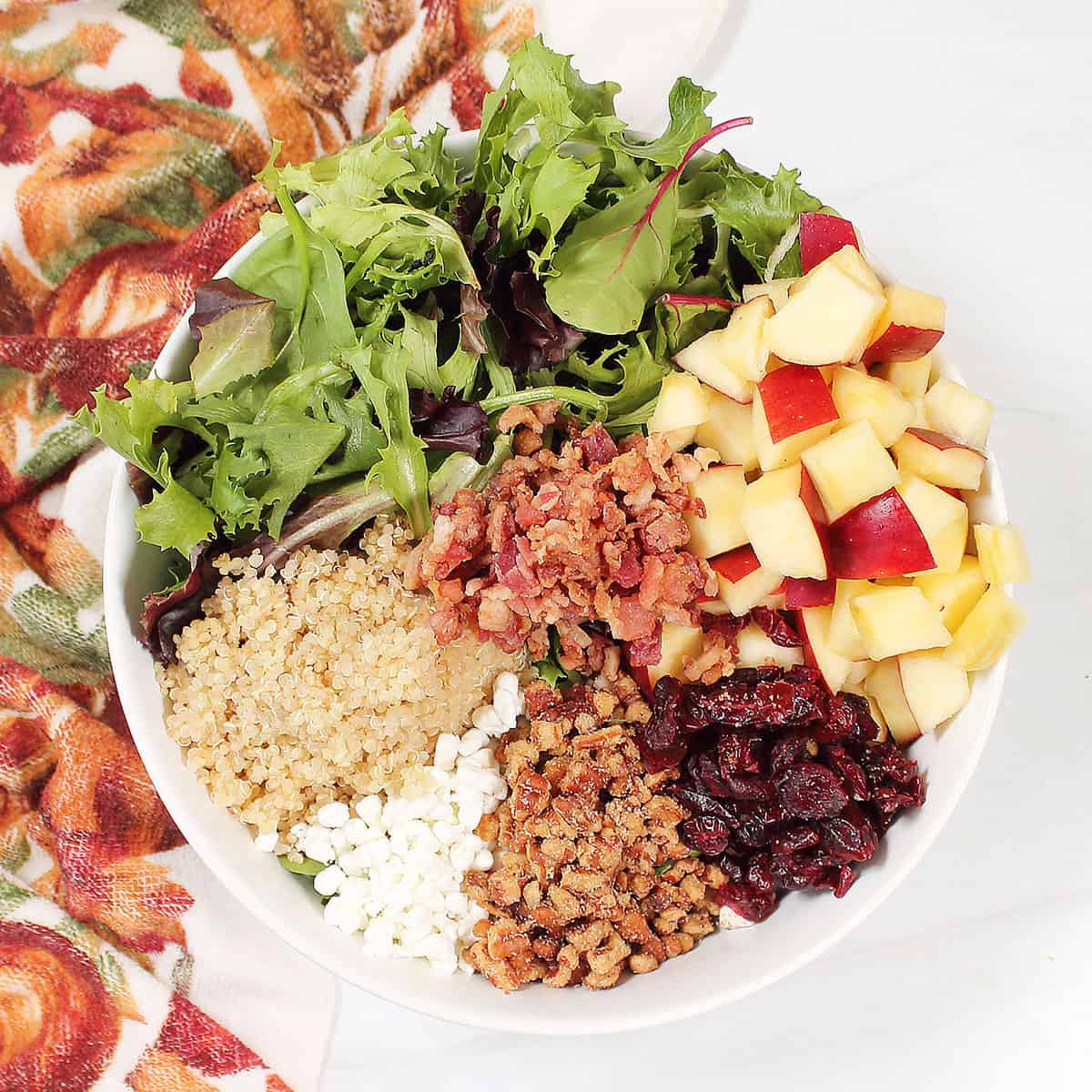 Ingredients for apple cranberry salad in bowl.