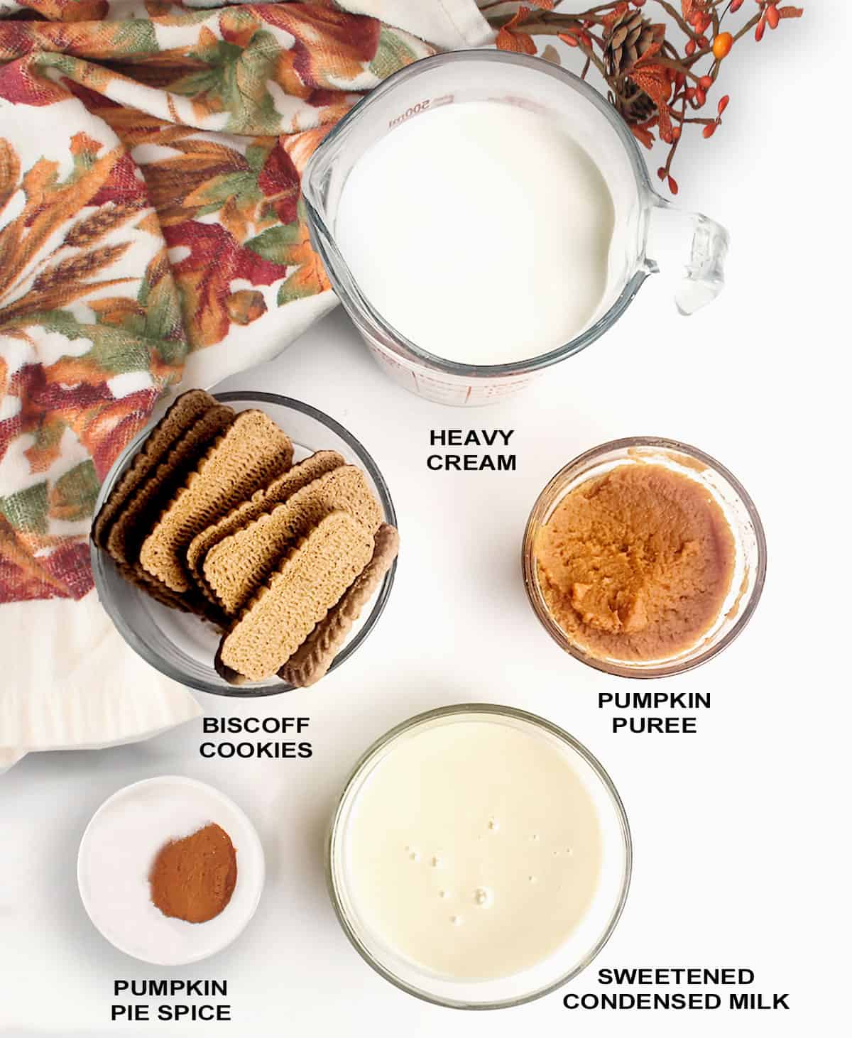 Ingredients for pumpkin pie ice cream.