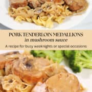 Plated pork medallions dinner over noodles and smothered in mushroom sauce. Name in text overlay.