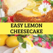 The classic, creamy cheesecake you know and love, but with a bright, zesty lemon twist. This easy Lemon Cheesecake has a rich and zesty lemon filling with a sweet-tart Lemon Oreo crust. It's easy to make and the perfect cool dessert for spring holidays and summer entertainment.