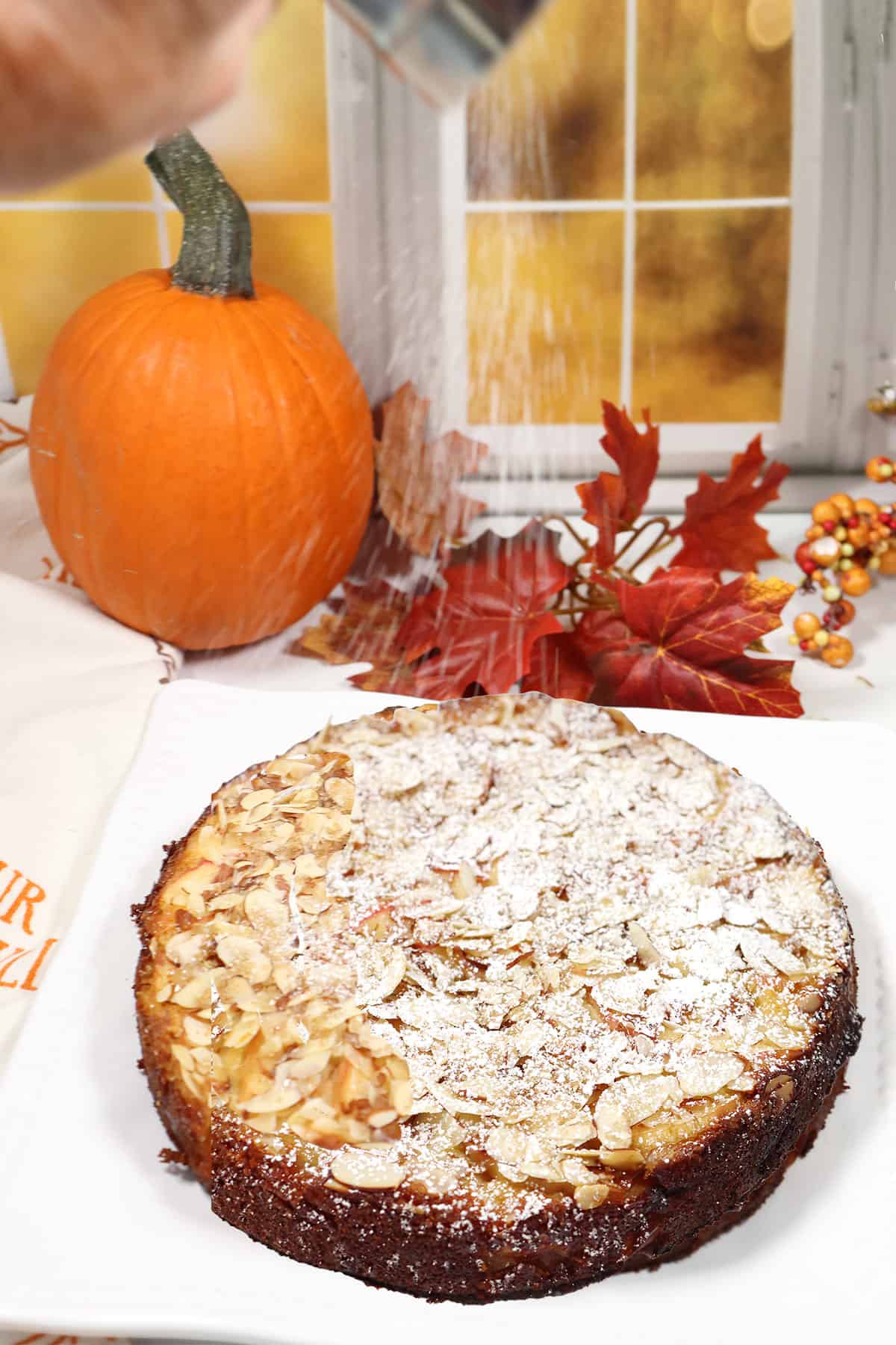 Sprinkling apple and almond cake with powdered sugar.